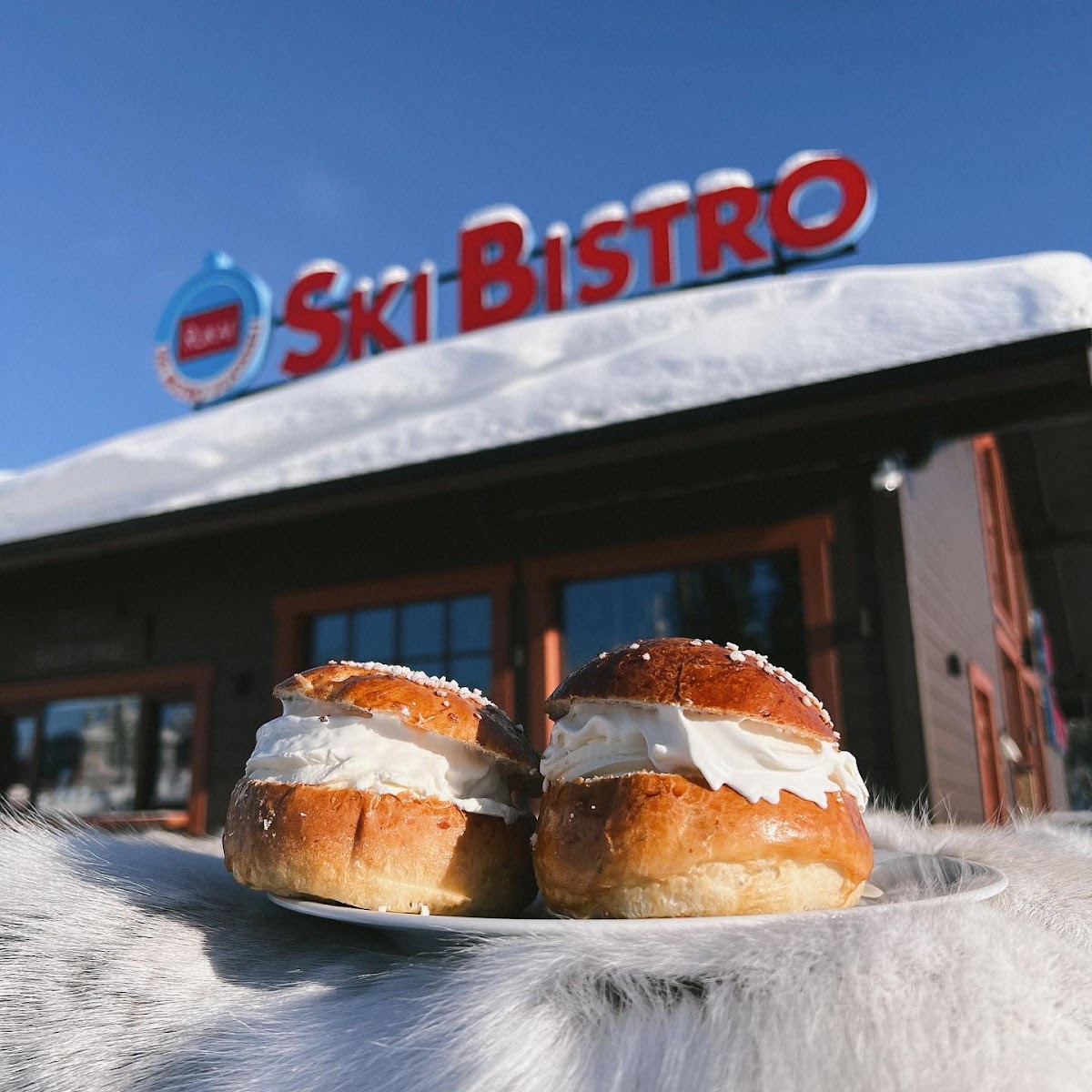 Ski Bistro